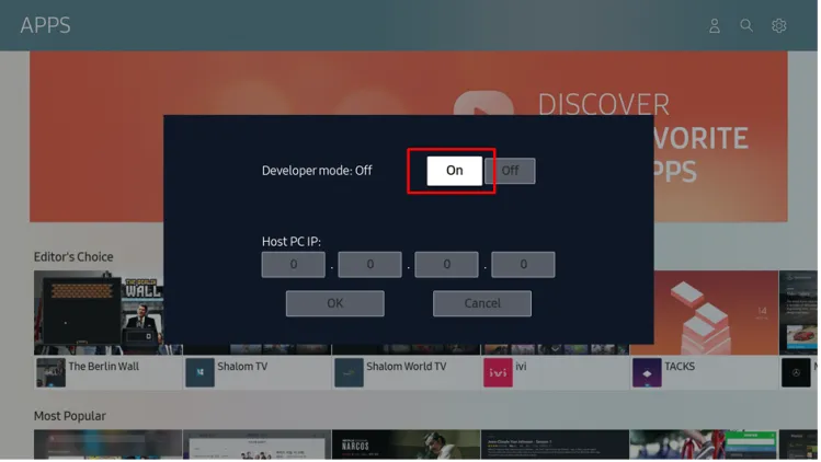 Samsung Smart TV developer mode screen.