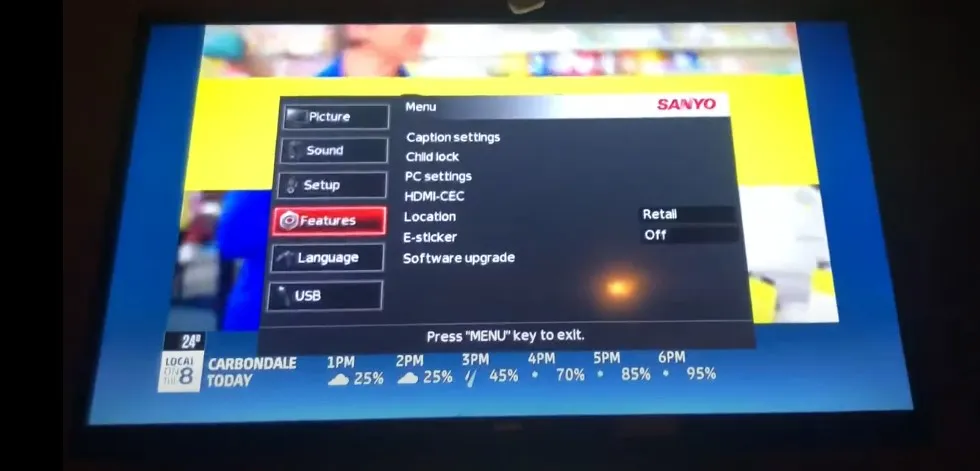 Sanyo TV setup menu