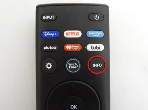 Vizio TV remote showing Info button